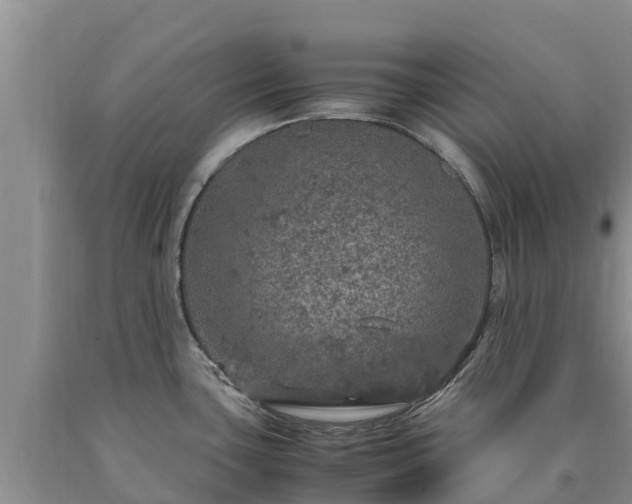 X0000090621435200707241119