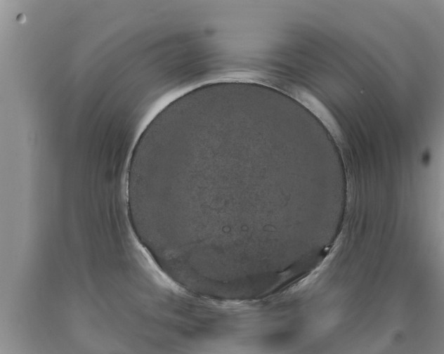 X0000090621436200707241119