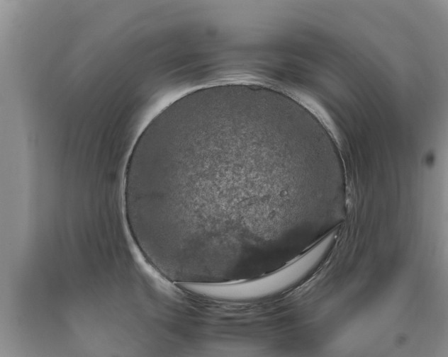 X0000090621439200707241119