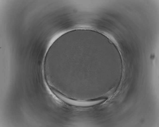 X0000090621440200707241119