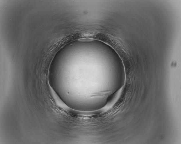 X0000090621441200707241118
