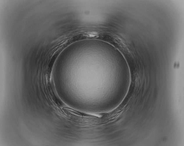 X0000090621442200707241118