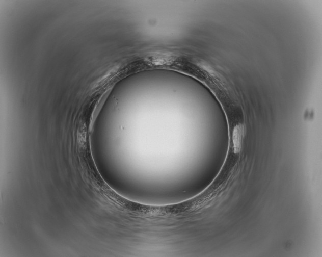 X0000090621443200707241118