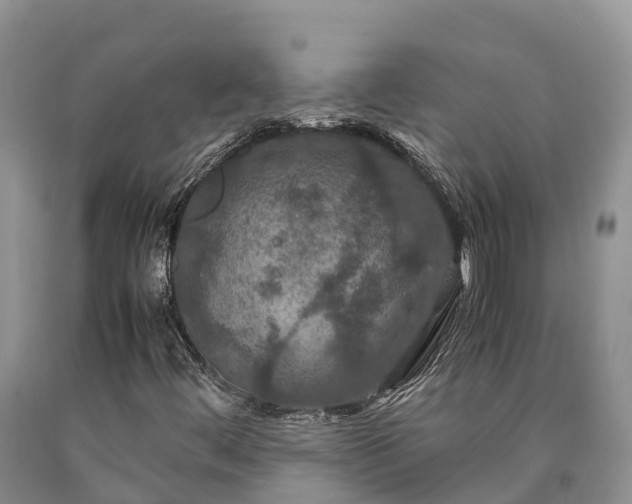 X0000090621444200707241118