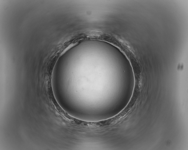 X0000090621445200707241118