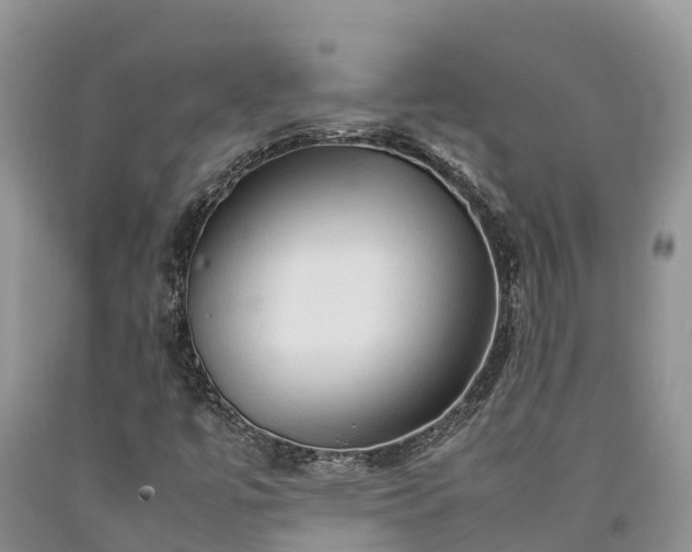 X0000090621447200707241118