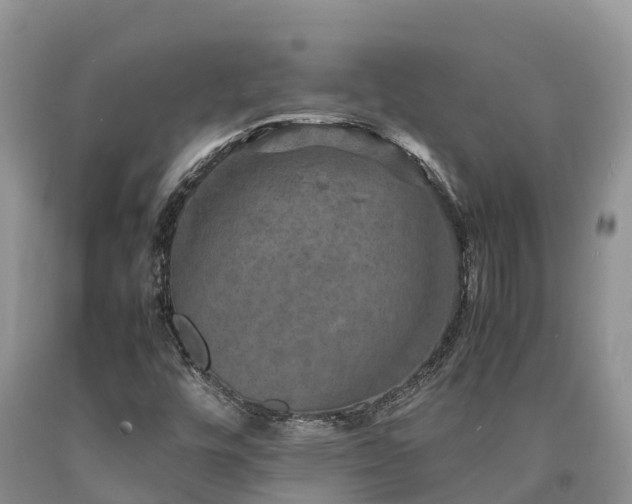 X0000090621448200707241118