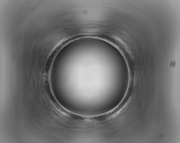 X0000090621449200707241118