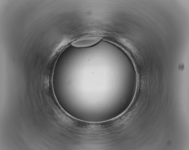 X0000090621451200707241118