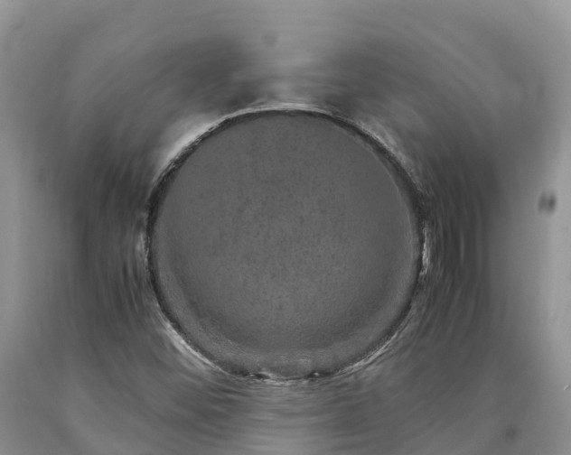 X0000090621452200707241118