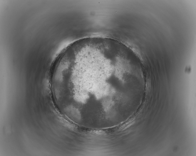 X0000090621454200707241118