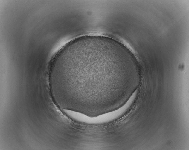 X0000090621456200707241118