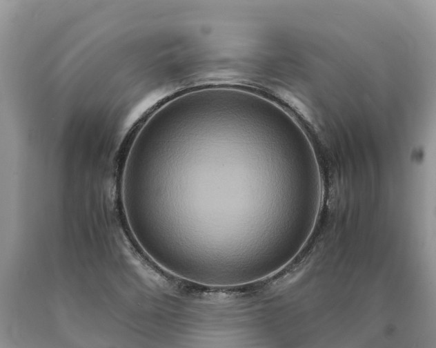 X0000090621458200707241118
