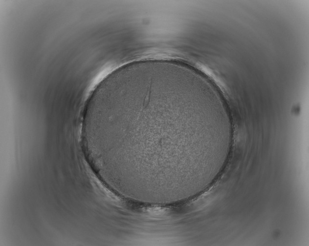 X0000090621459200707241118