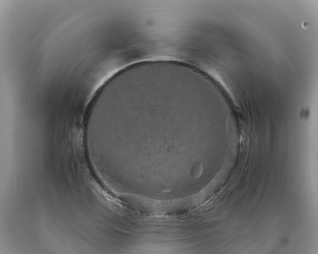 X0000090621460200707241118