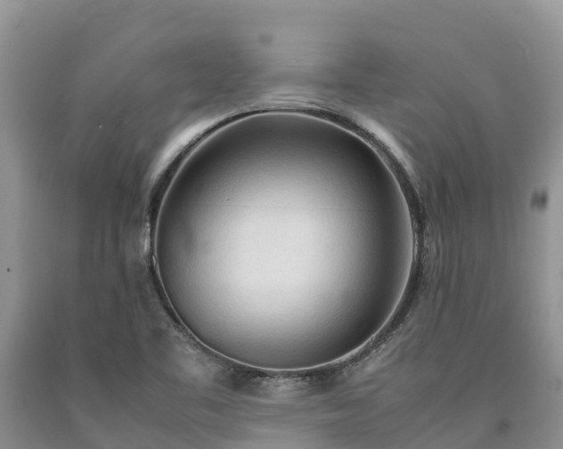 X0000090621461200707241118