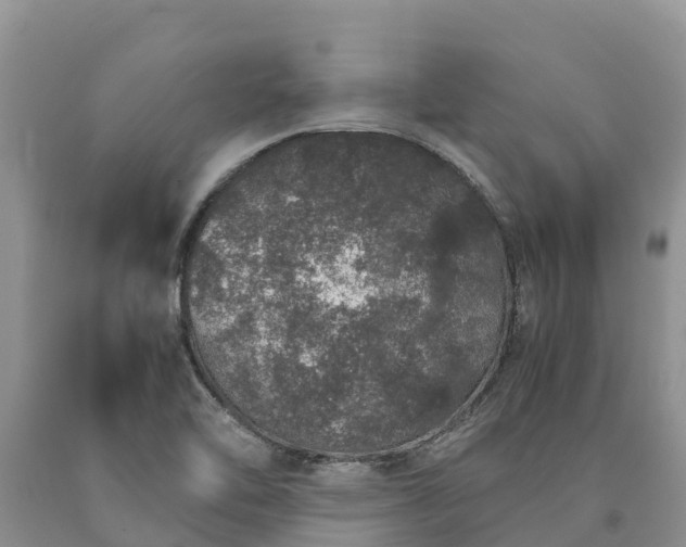 X0000090621462200707241118