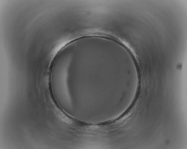 X0000090621463200707241118