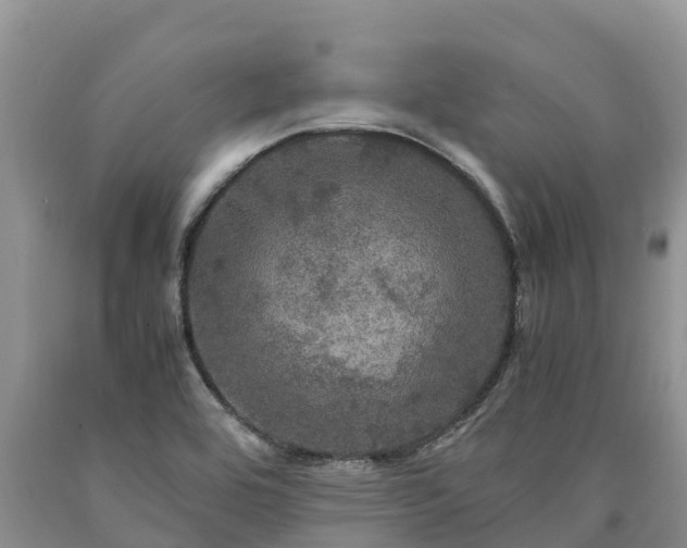 X0000090621464200707241118