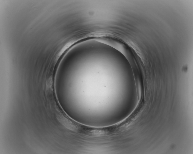X0000090621465200707241117