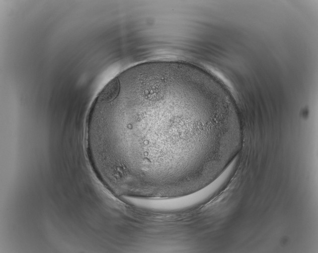 X0000090621467200707241117