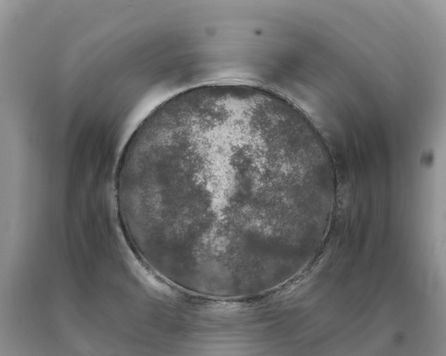 X0000090621470200707241117