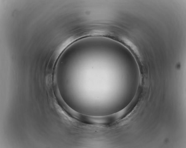 X0000090621473200707241117
