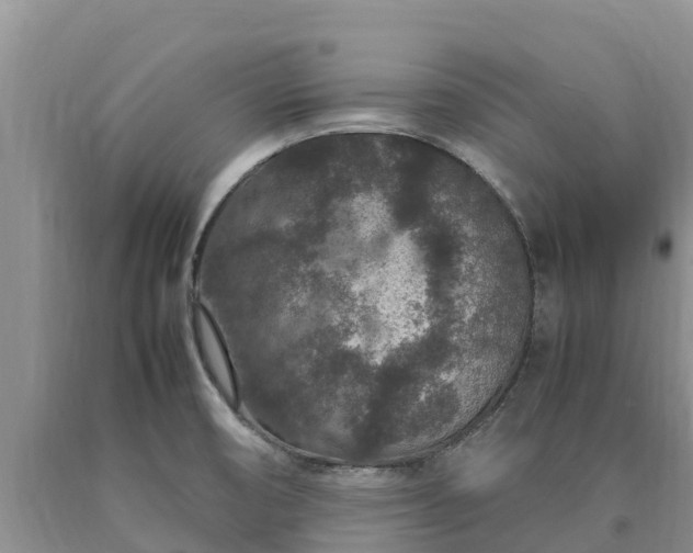 X0000090621474200707241117