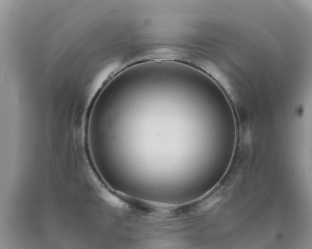 X0000090621477200707241117