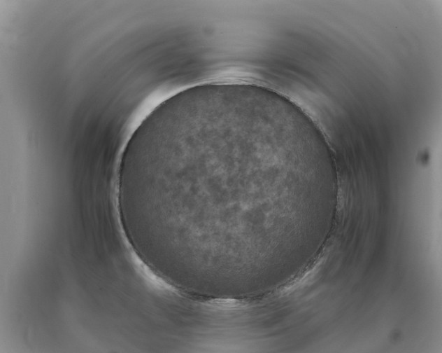 X0000090621478200707241117