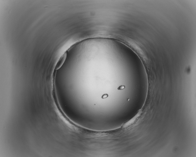 X0000090621479200707241117