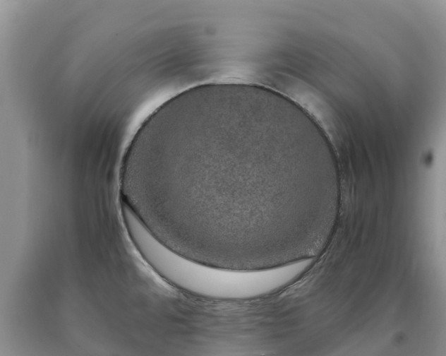X0000090621480200707241117
