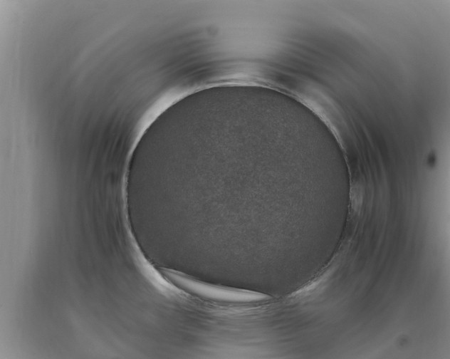 X0000090621482200707241117