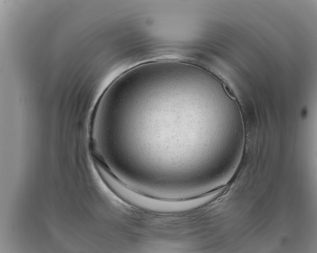 X0000090621483200707241117
