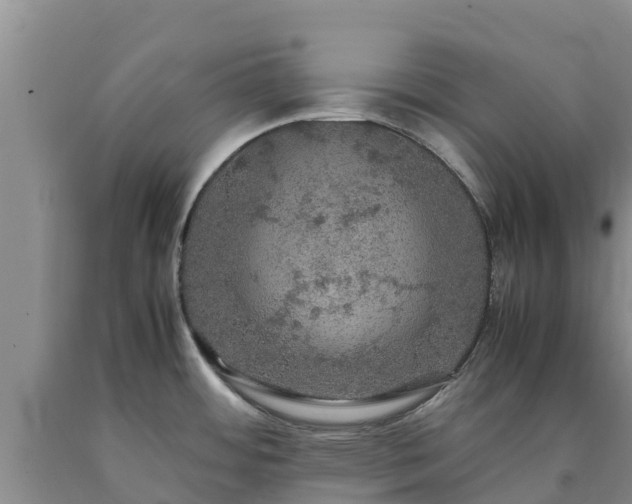 X0000090621484200707241117
