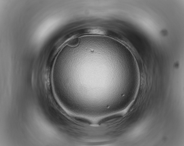 X0000090621487200707241117
