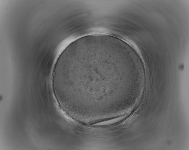 X0000090621488200707241117
