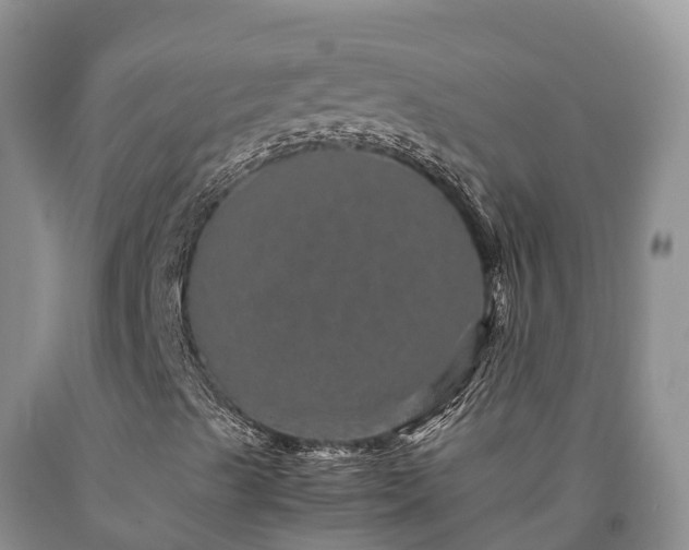 X0000090621489200707241117