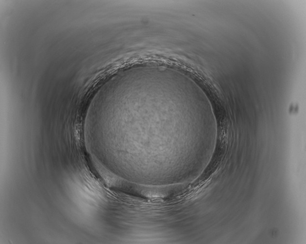 X0000090621490200707241117