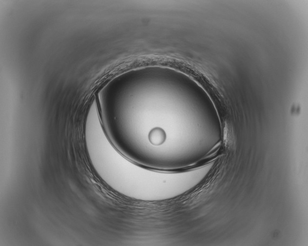 X0000090621492200707241117