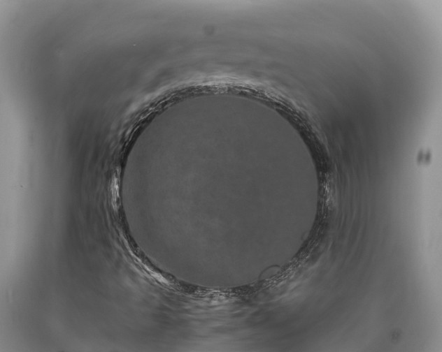 X0000090621493200707241117