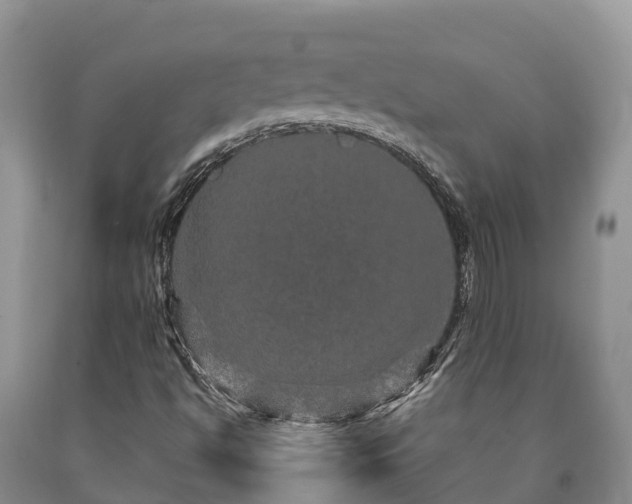 X0000090621494200707241117