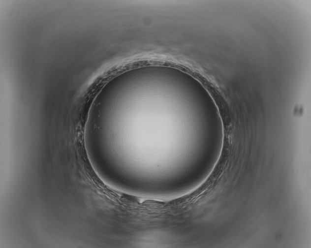 X0000090621495200707241117