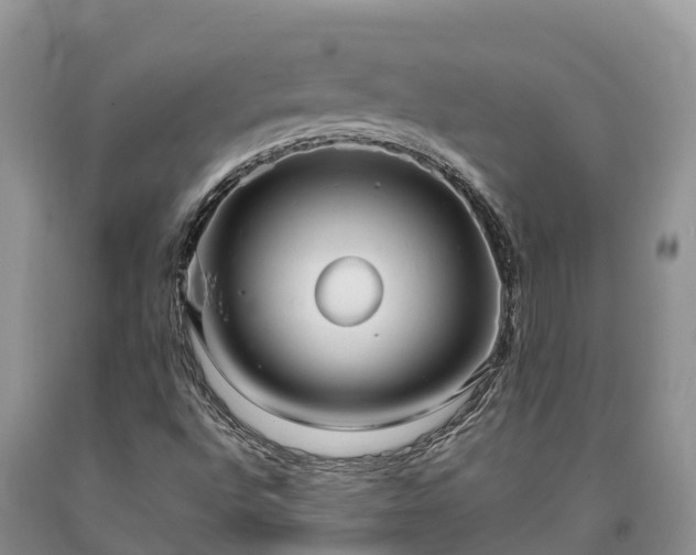 X0000090621496200707241117