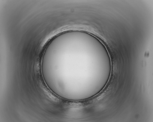 X0000090621498200707241117