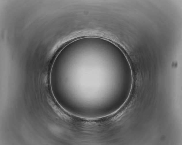 X0000090621499200707241117