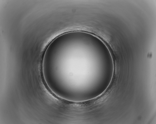 X0000090621500200707241117