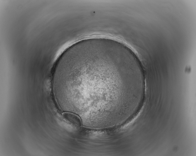 X0000090621501200707241117