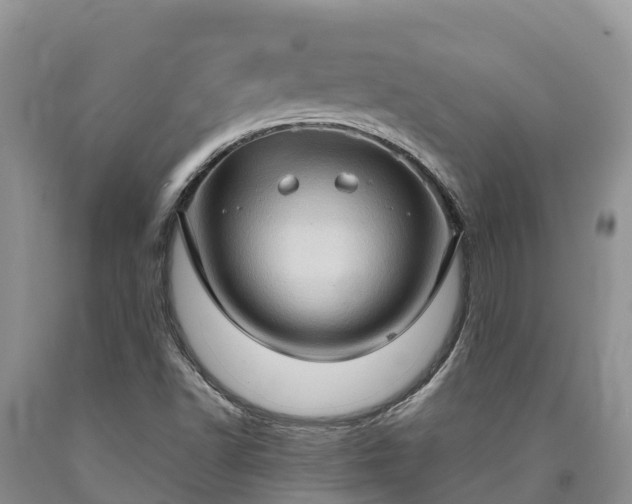X0000090621502200707241117
