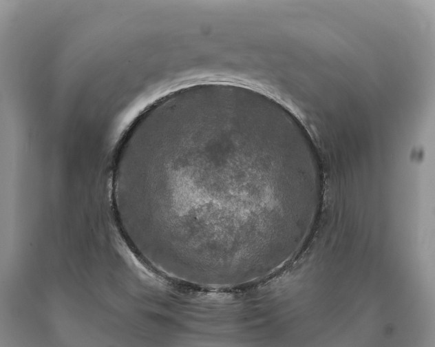 X0000090621503200707241117